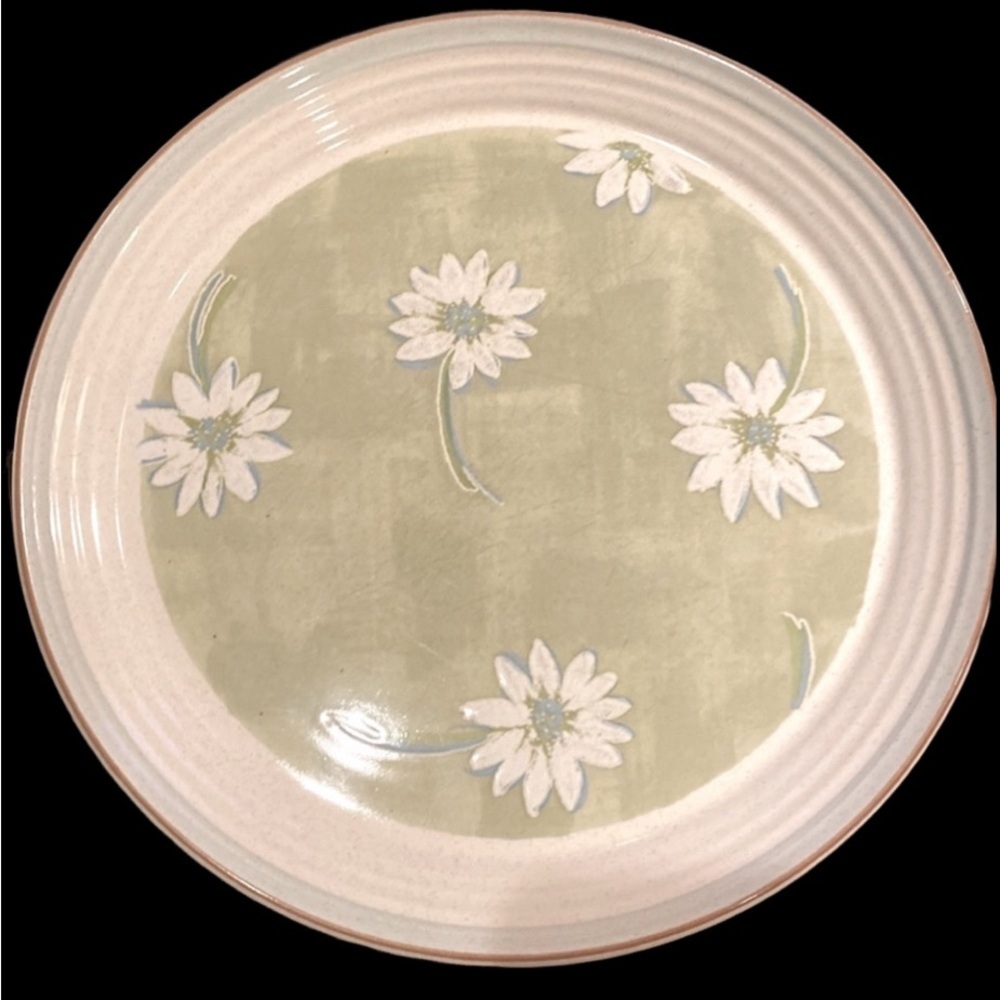 (2) Mikasa Green Fields dinner plates. 11” diameter. Green/off-white. 2 plates.